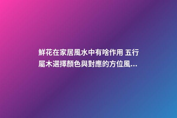 鮮花在家居風水中有啥作用 五行屬木選擇顏色與對應的方位風水有